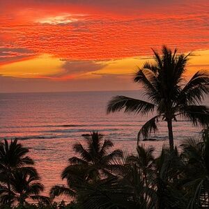 Meet your Poshers- Desert Thrift!